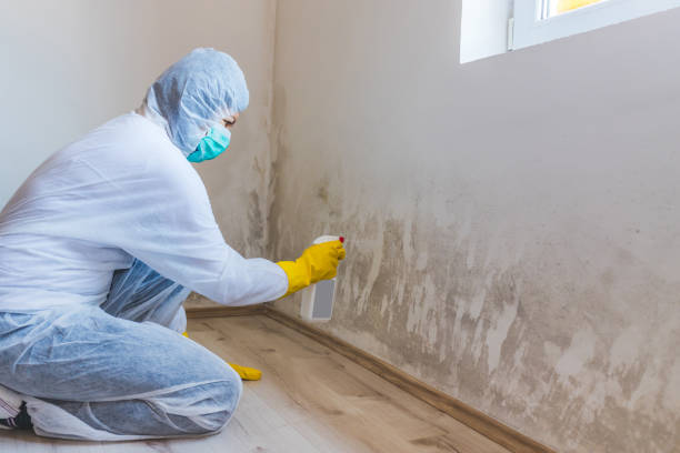 Best Mold Removal for HVAC Installations  in Newington, VA